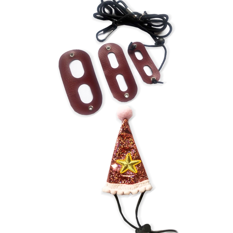 Baardagaam Verjaardag Hoed Leash En Harnas Van Baby Tot Juveniele Verstelbare Lederen Hagedis Walking Leash Sml 3 pack Y5GB: 02