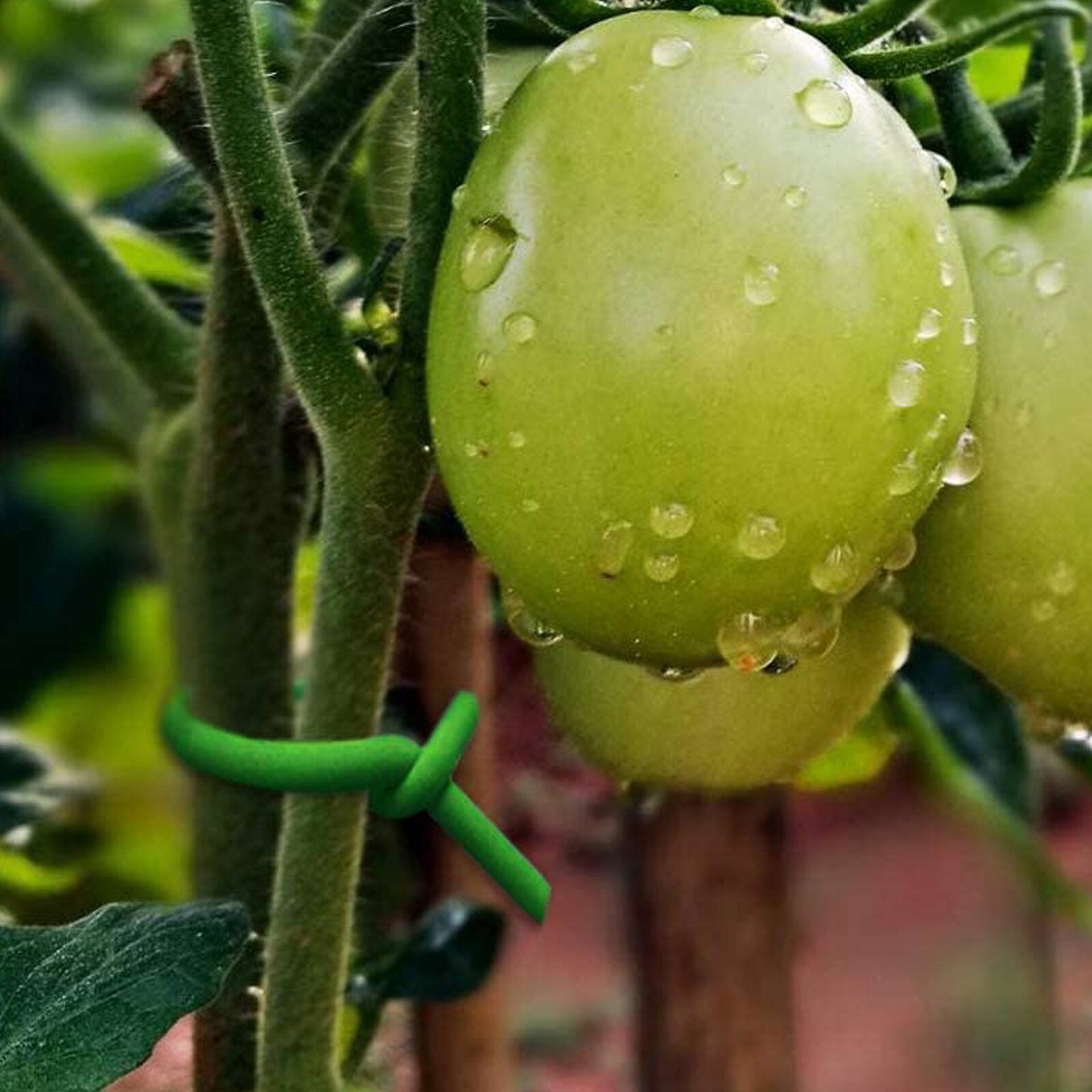 Metal Iron Wire Garden Vegetable Flower Branch Bundle Plastic Plant Soft Tie Wire Tied Branch Flexible Wire Diy Garden Tool