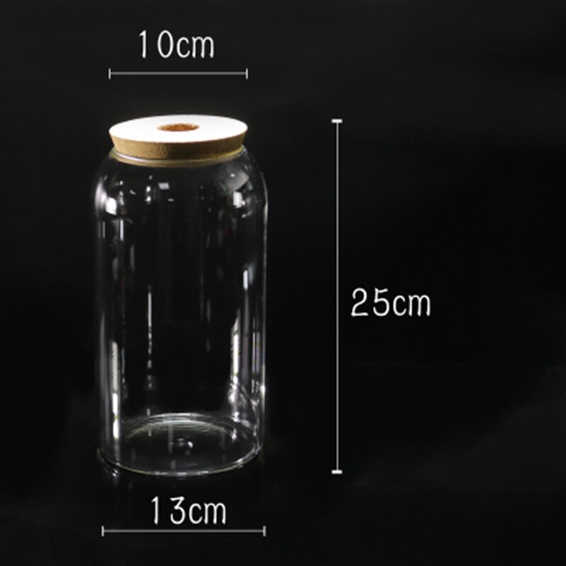 Botella ecológica de vidrio transparente con tapa para pecera, accesorios de acuario para paisajismo, Mini botella con pez: Size-4