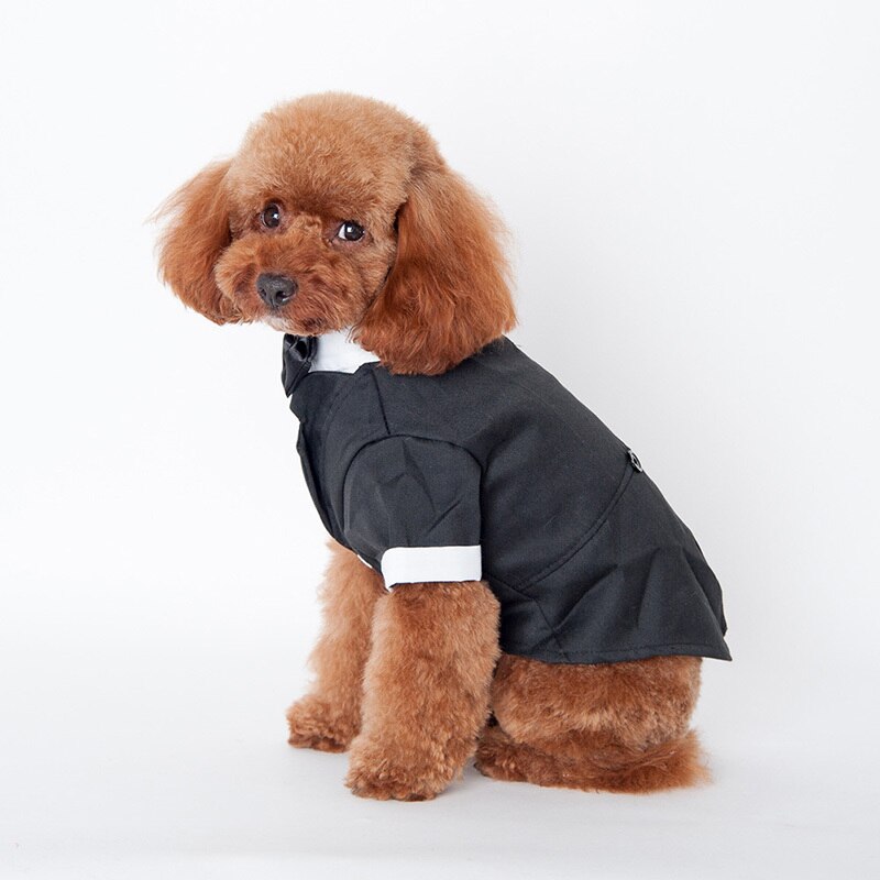 Ropa para perro y gato Prince traje de boda esmoquin pajarita cachorro abrigo 5 tamaños para perro pequeño grande