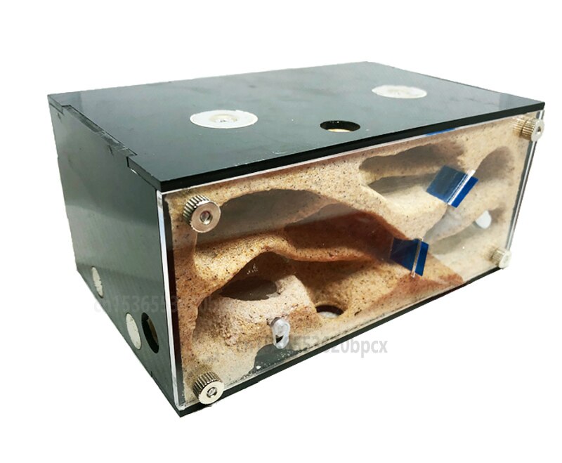 Ant house pet ant nest original ecological concrete nest ant nest ant Castle: as photo C