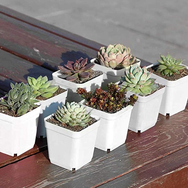 50 Pack 2.7Inch White Square Plastic Plant Pots with Saucer,Seedling Nursery Transplanting Planter Container for Garden