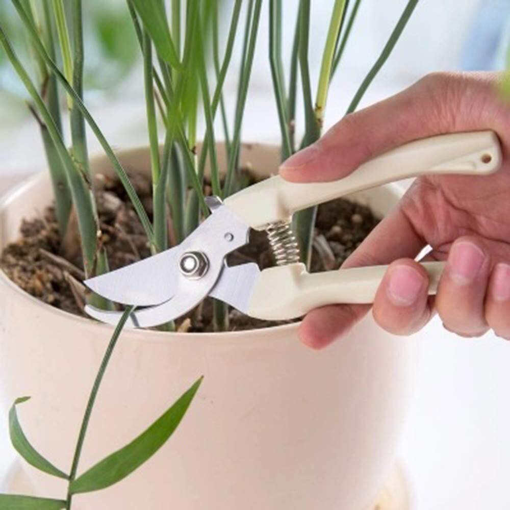 Tijeras de jardinería antideslizantes, tijeras de podar para injerto, herramientas de mano de acero inoxidable, herramientas para cortar árboles frutales, podadoras de bonsái, tijeras de podar