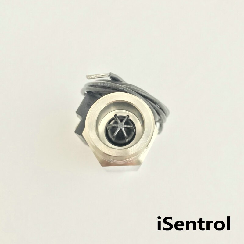 USM-FS21TS SUS304 Flow Switch Reed Switch Magnetic Sensor Switch 1.5-12L/min 5-36V 10W 2 wire Saier Sensor iSentrol