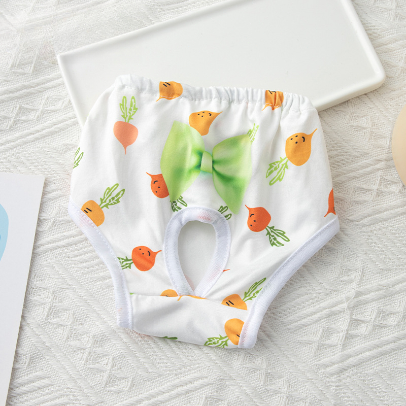 Herbruikbare Sanitaire Slipje Wasbare Kleine Hond Huisdier Luiers Vrouwelijke Honden Grote Fysiologische Broek Shorts Mannelijke Katten Huisdier Menstruatie