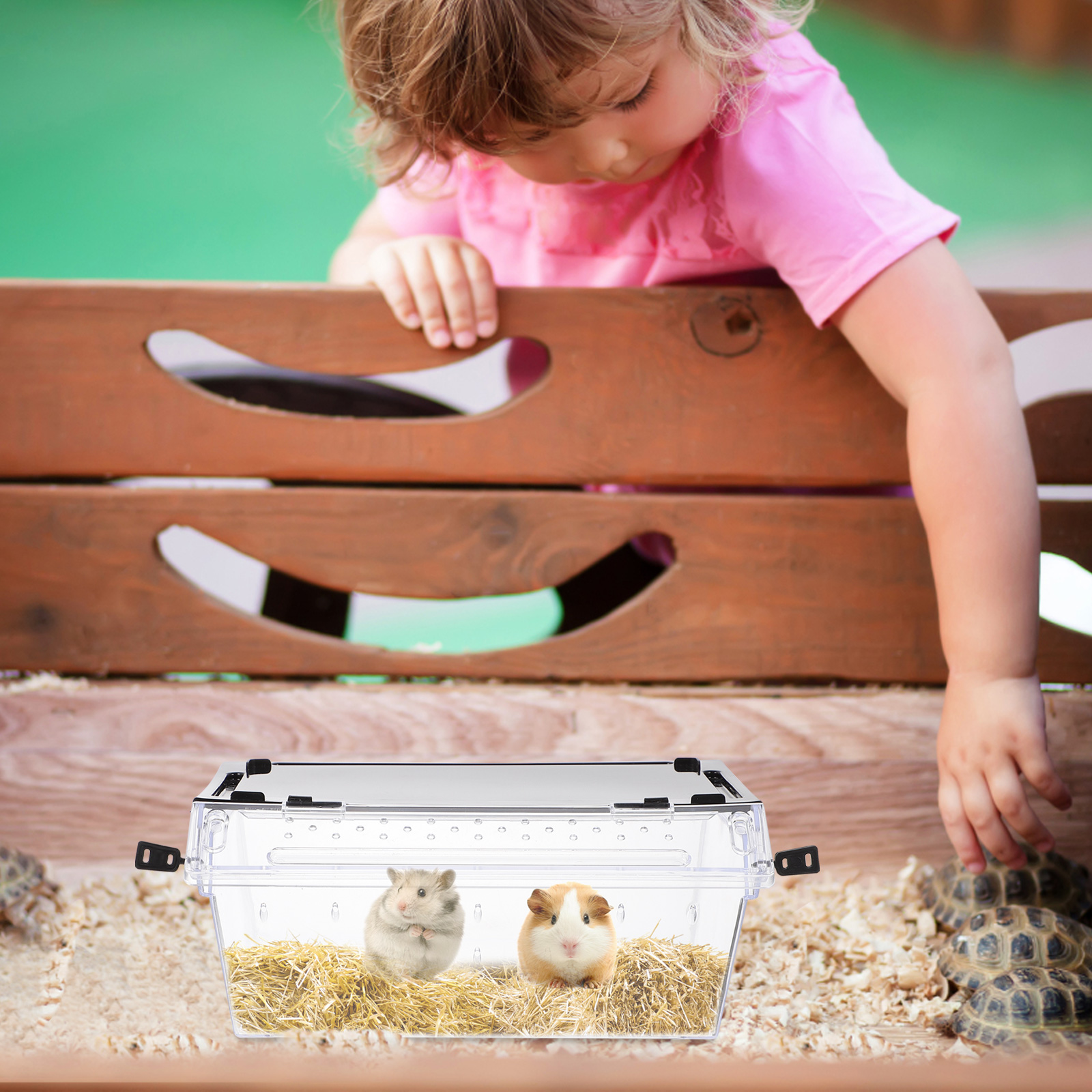 1pc Reptile Feeding Box Practical Snake Hatching Container Lizard Display Box