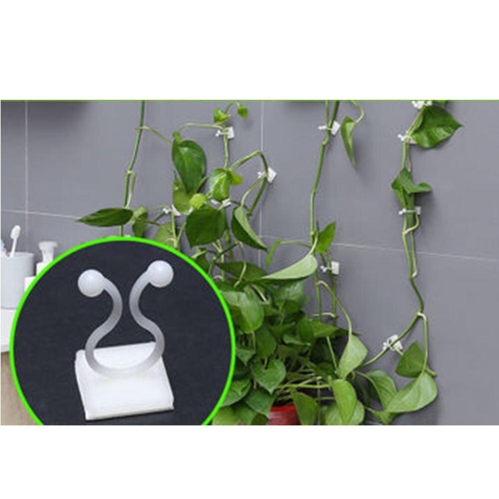 5pcs/lot Wall Climbing Fixer Green Plant Green Vine Climbing Wall Fixer Paste No Trace Hook Home Garden Balcony Decoration