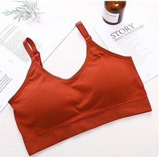 Seamless Sports Bra Women Push Up Sport Top for fitness U Back Padded Sports Bras Vest Shockproof Running Gym Workout Bra: 01orange