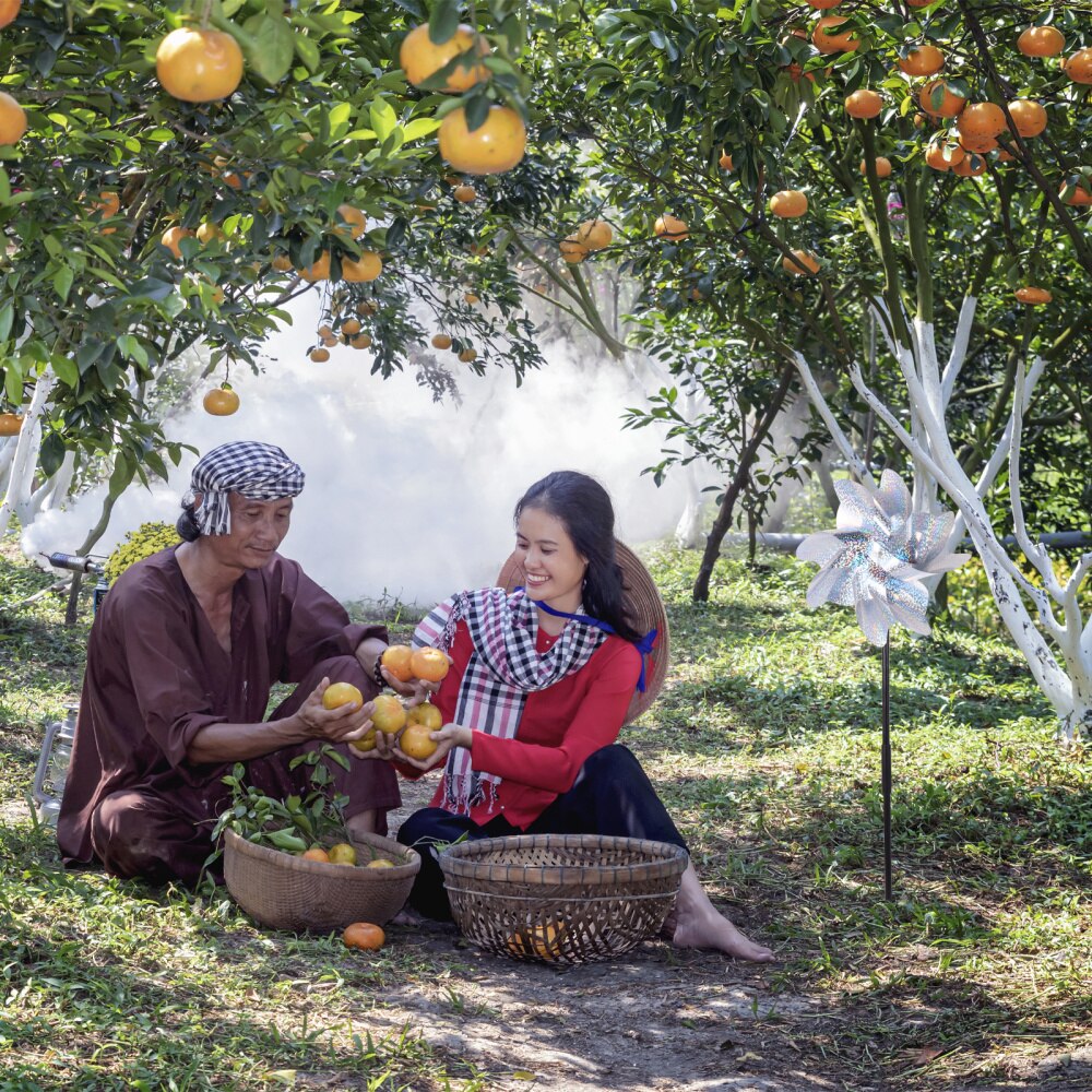 2Pcs Useful Bird Repeller Bird Repellent Windmill Bird-Driving Wind