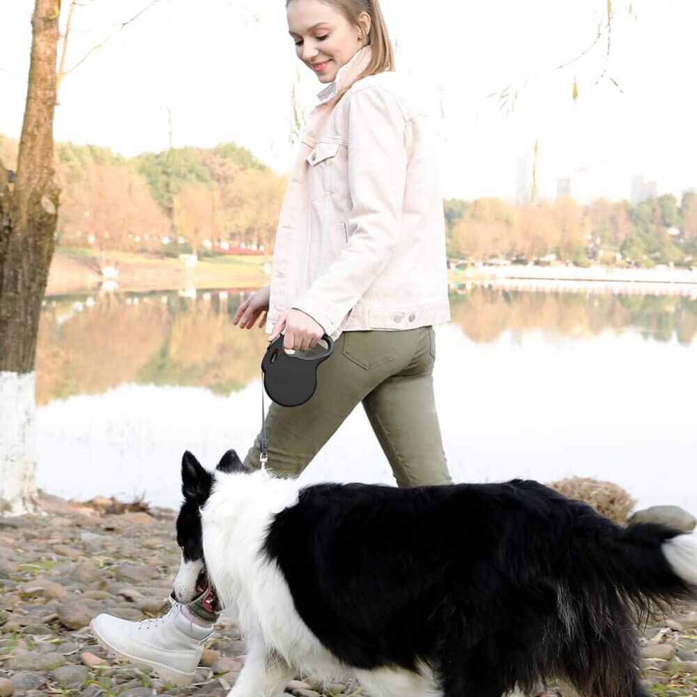 Intrekbare Duurzaam Pet Hondenriemen 5M Ondersteunt Grote Honden Tot £ 100 Best Pet Training Wandelen Nylon Leash huisdier Producten