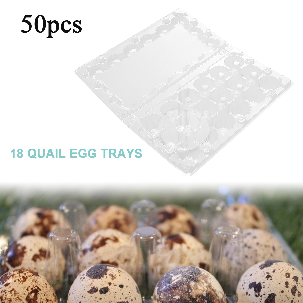 Caja organizadora desechable de Pvc para almacenamiento de huevos de codorniz, caja dispensadora de Huevo transparente, 50 Uds.