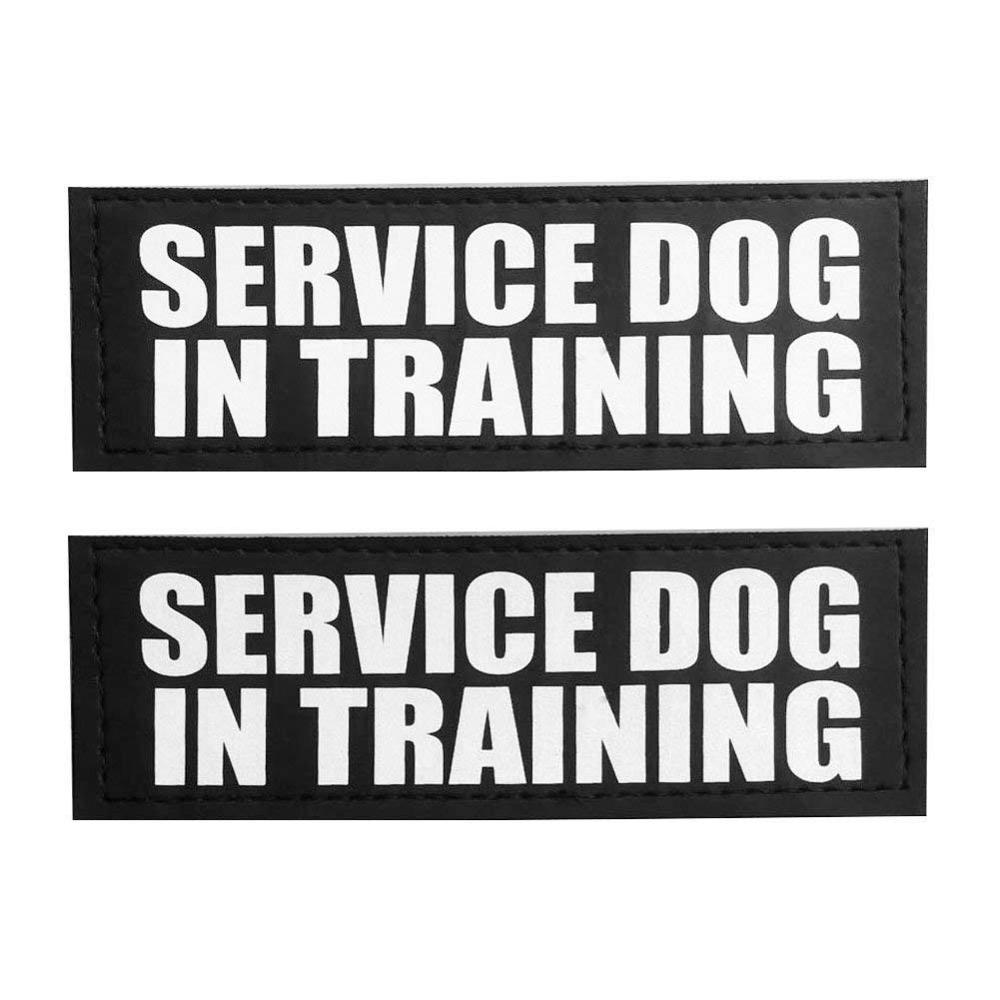 Hund tag patch til kæledyr hund krave sele vest service hund i træning velcro patches terapi hund tags