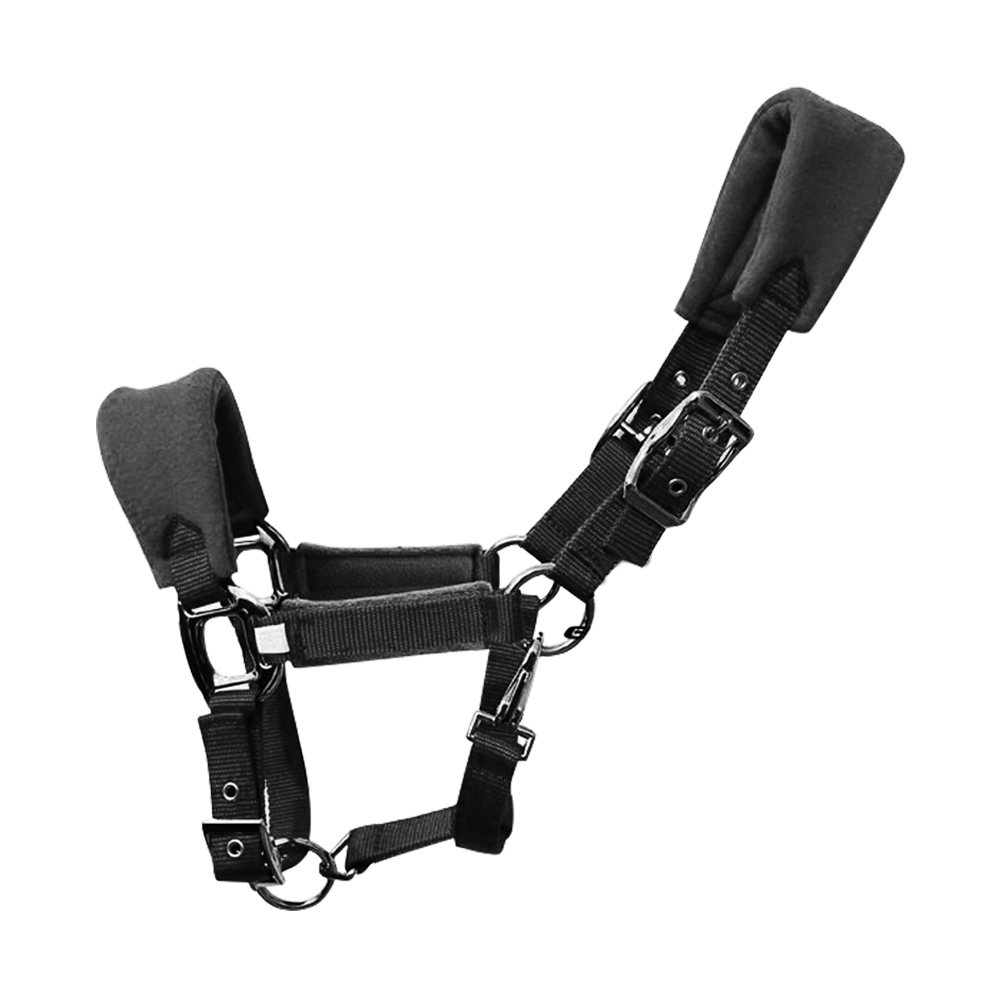 Correa de forro polar acolchada de doble capa para caballo, práctica, gruesa, ajustable, duradera, protectora, varios tamaños, accesorios