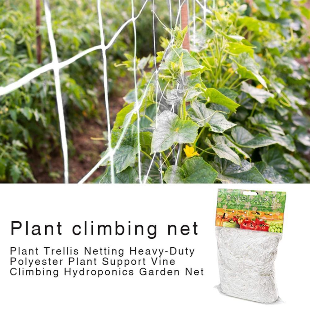 De malla de 5/10m red de poliéster esponja de malla para la gloria de la mañana vid flores Jardín Plantas escalada neto pepino vid crecer titular