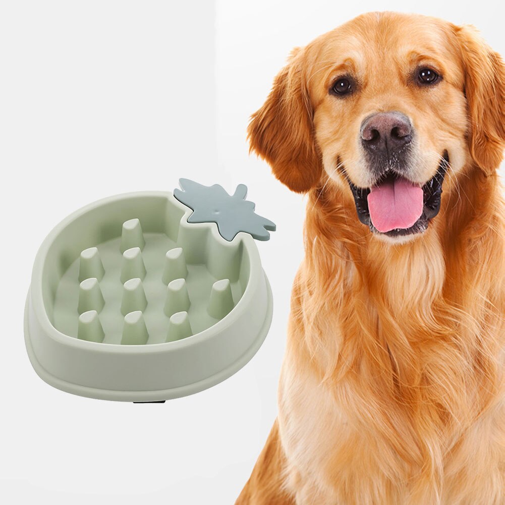 Training Slow Dispensing Feeding Pet Dog Food Bowl... Grandado