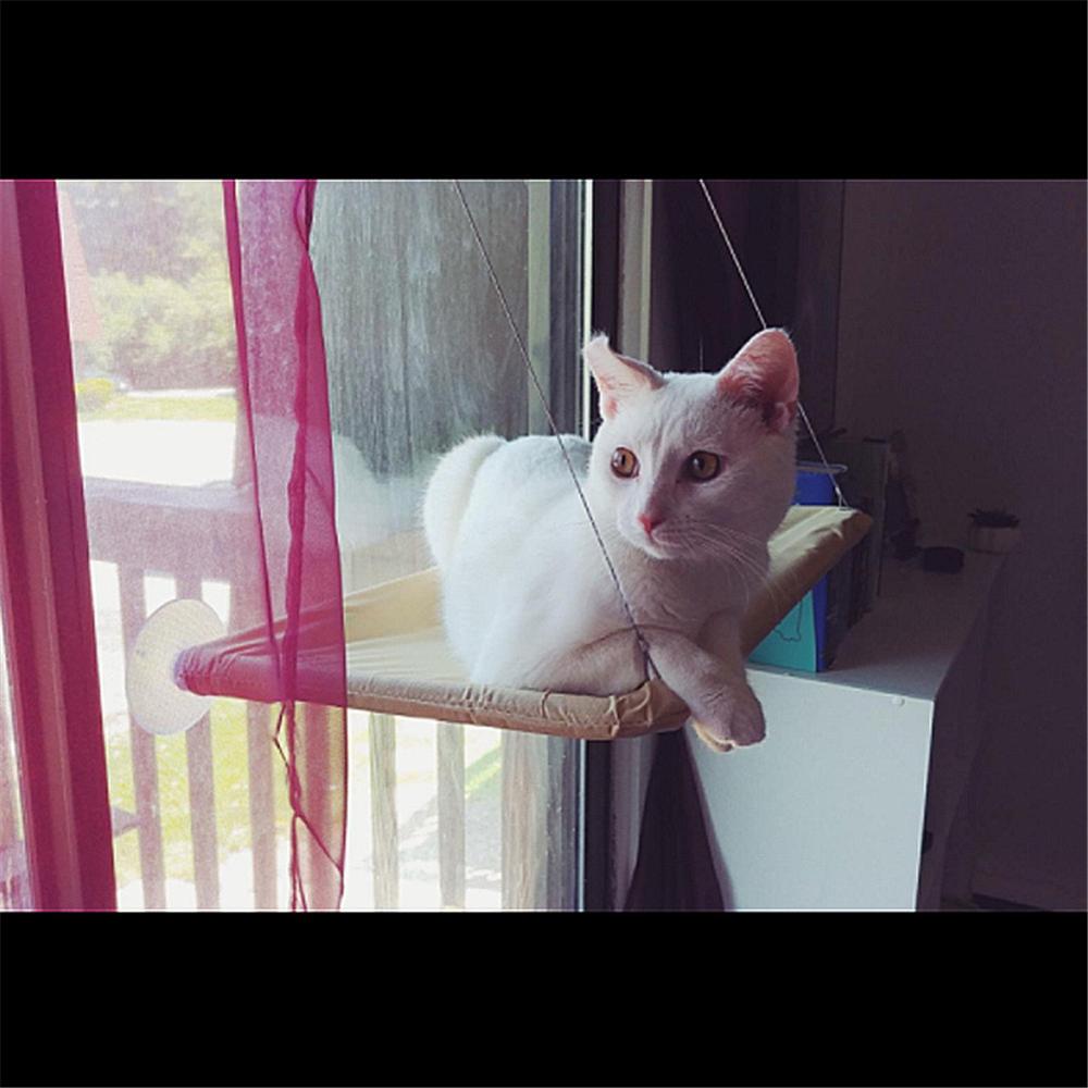 Hamac pour animaux domestiques | Siège monté sur fenêtre pour chat, ventouse de maison, tapis de lit suspendu, fournitures pour chats chaton, lit confortable pour chat et animal de compagnie