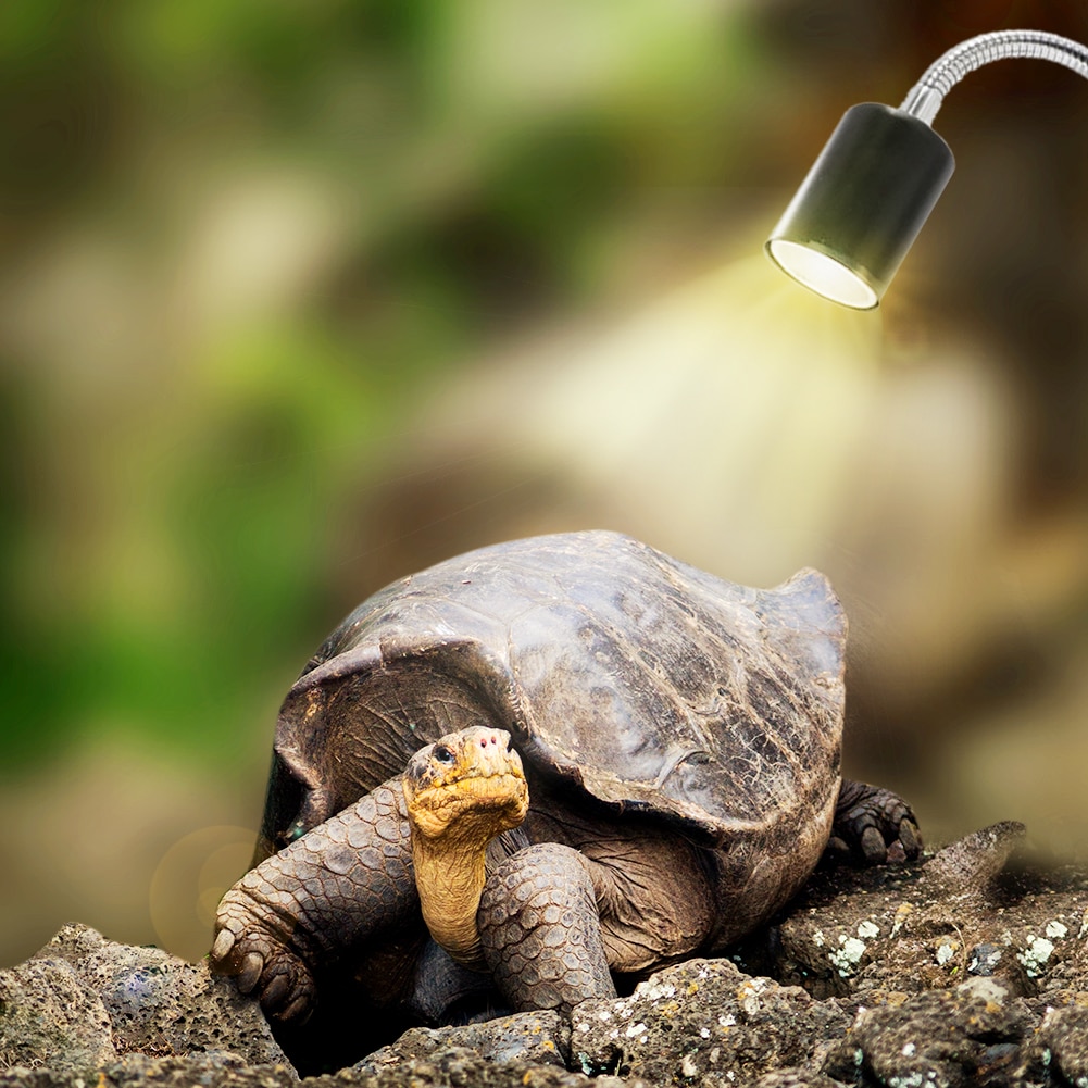 UVB Reptile Lamp Bulb Turtle Basking UV Light Bulbs Heating Lamp Amphibians Lizards Temperature Controller With Clip: Default Title