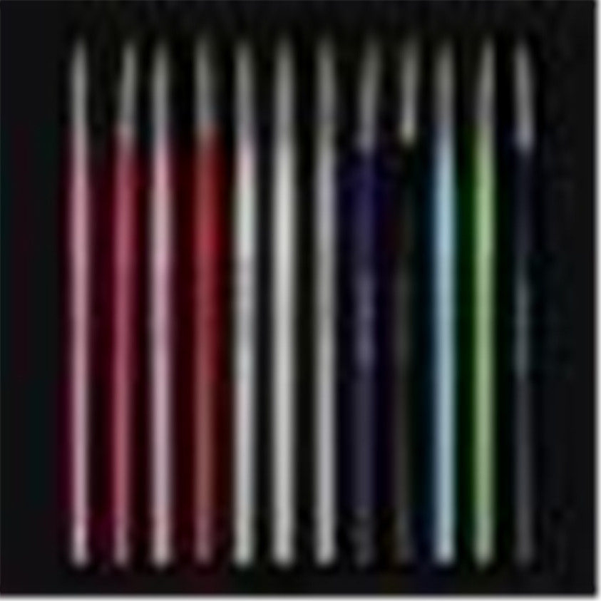 U 12 stuks kleurrijke nail art penseelpen fijne details tips tekenverf set 220
