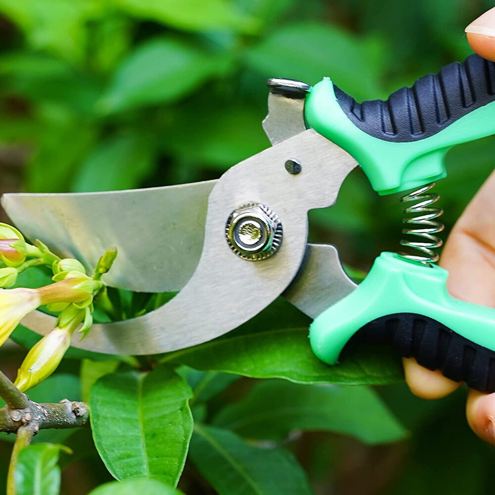 Pruner Garden Scissors Shear Sharp Bypass Pruning Shears Tree Cutter Trimmers Secateurs Hand Gardening Pruning Tool