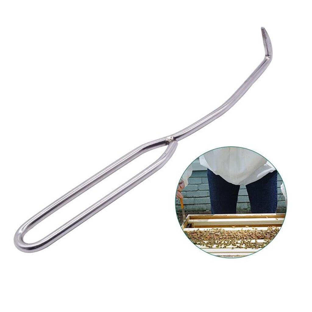 Beekeeping Needle Queen Rearing Grafting Tool Stainless Steel Grafting Tool Bee Hive Scraper Beekeeper - 10inch