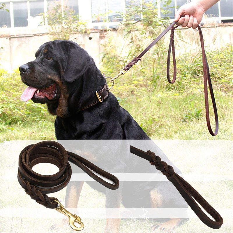 2M Lange Lederen Gevlochten Pet Hond Lopen Tractie Kraag Strap Training Leash Lead