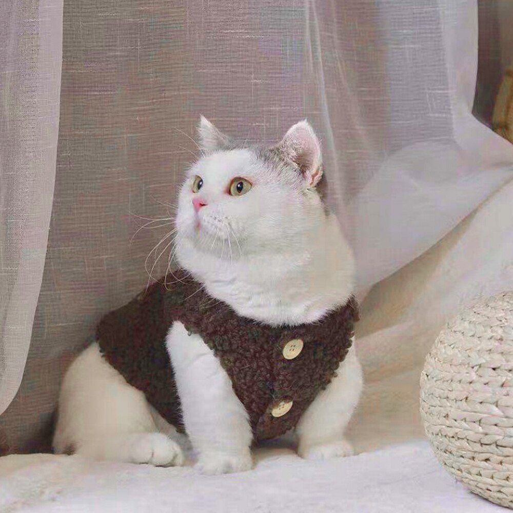 Gilet en peluche pour chat, vêtements à la , résistant au froid, Teddy, épaississement de la chaleur, en cachemire, pour animaux de compagnie, automne et hiver