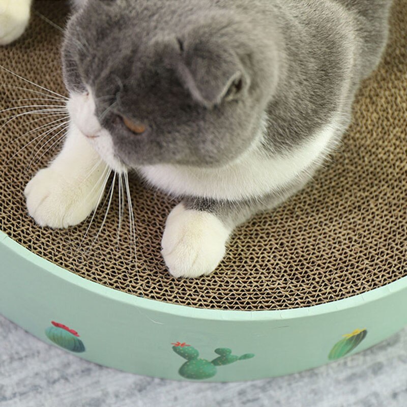 Gut Katze Bord Kratzen Krallen Für Katzen Möbel Kratzer Waren Für Tiere Katze Spielzeug Nagel Scratcher Bett Kätzchen Kaktus