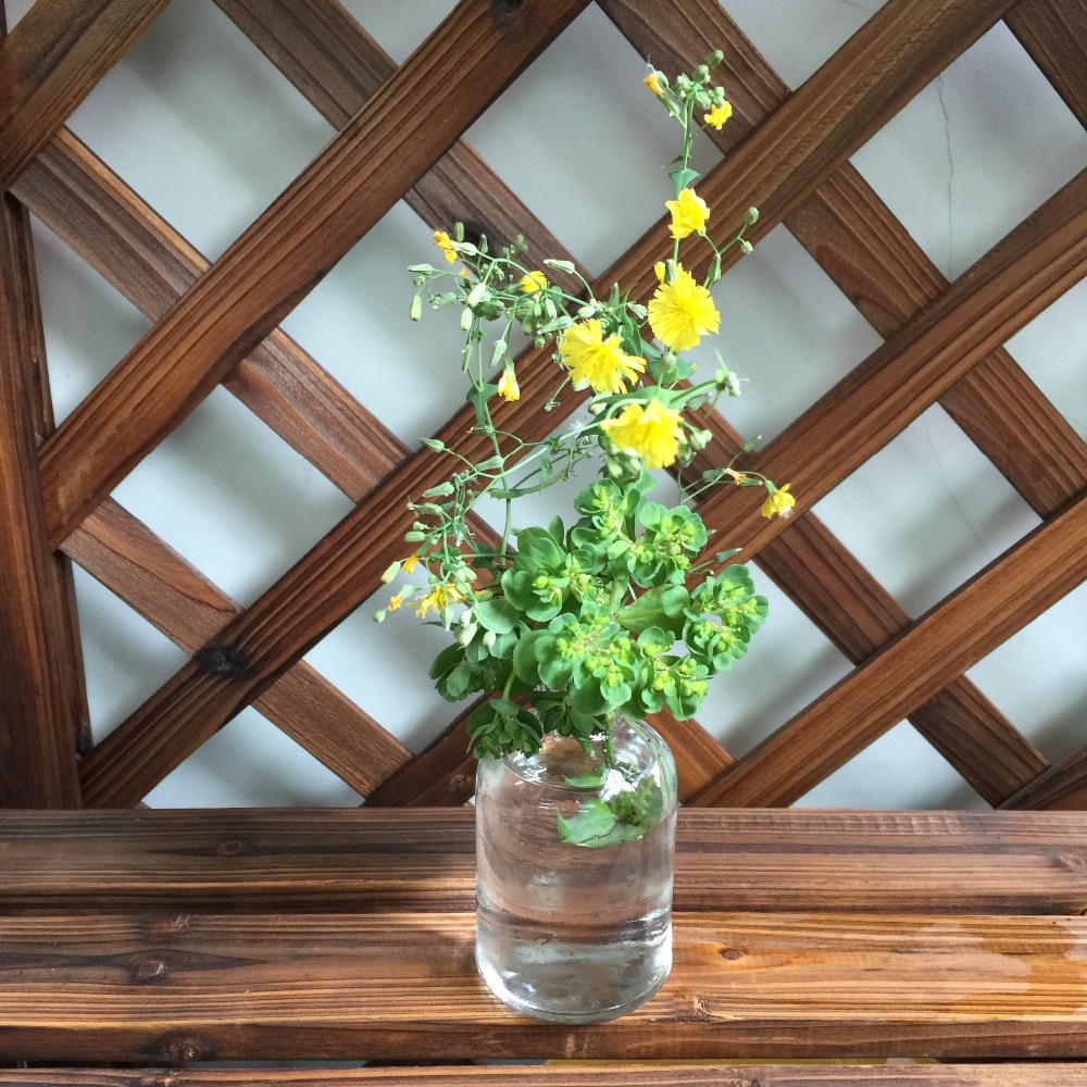 NIEUW! Bulk 12 PCS 4 Inch Lang Glas Fles Bud Vaas/Ambachten Decor Fles, USD22.80/percelen Elke USD1.90/PC