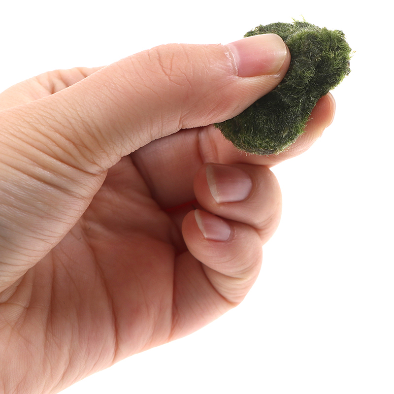 Moss Stone Lifelike Vivid Moss Balls Decorative Balls for Glass Jar Terrarium Aquariums Landscaping Plant Fish Tank Decor