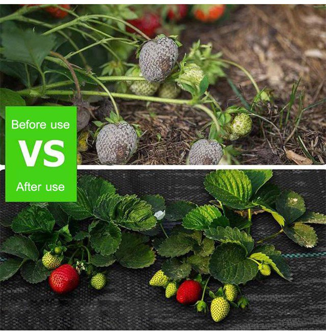 10PCS Non-Woven Barrier Tree Mulch Ring Weeding Barrier Thickened Protector Mat Plant Cover Anti Grass Gardening Fabric