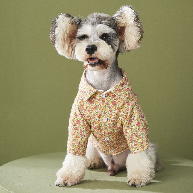 Ubranka dla psa sznaucer pomorska jesienna koszulka dla zwierząt dla małych psów koszula pudel York Dog koszulki Bichon strój francuski kostiumy