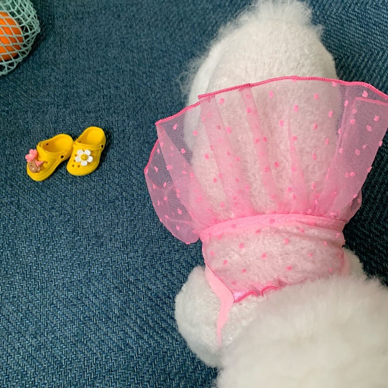 Vestiti rinfrescanti per cani Bretelle per animali domestici Vestito per cani Pizzo traspirante Sottile Gonna per cuccioli chihuahua Bichon Barboncino costume per cani per ragazze 2025 Nuovo