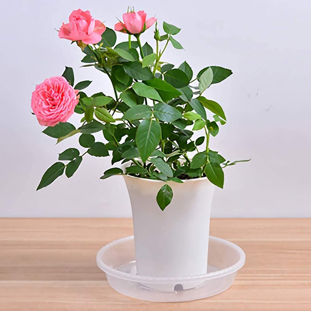 10Pcs Plastic Flower Pot Drip Trays Clear Round Shape Saucers Decor