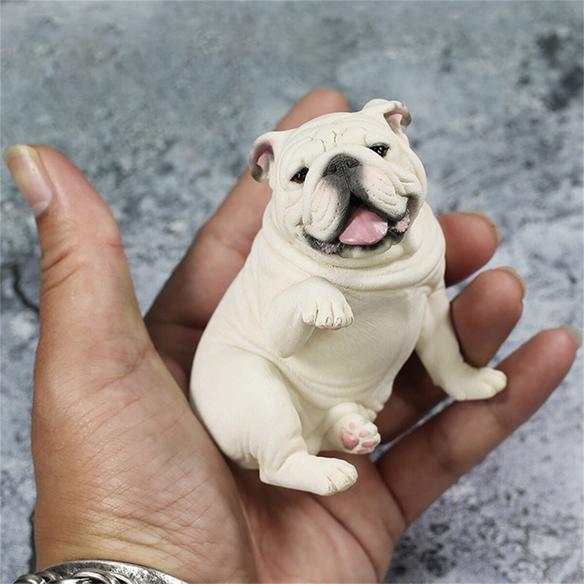 Mr.Z Studio 1:6 British Bulldog V4.0 Dog Pet Healing Figure Canidae Animal Model Toy Collector Desktop Decor Adult Unisex