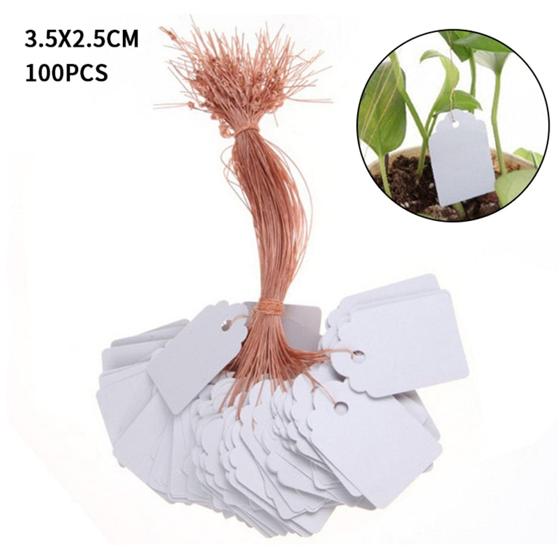 100Pcs Kleurrijke Plant Markers Tuin Bonsai Succulent Seedings Tags Teken Pvc Tuinieren Labels Stake Op Bodem Verf Sticks: white