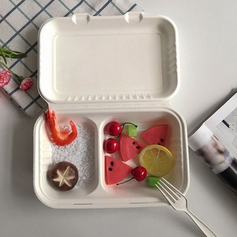 50Pcs/bag 1000ML Biodegradable Disposable Takeout Food Containers Leak Proof Rice Meal Holder Box with 2 Compartments