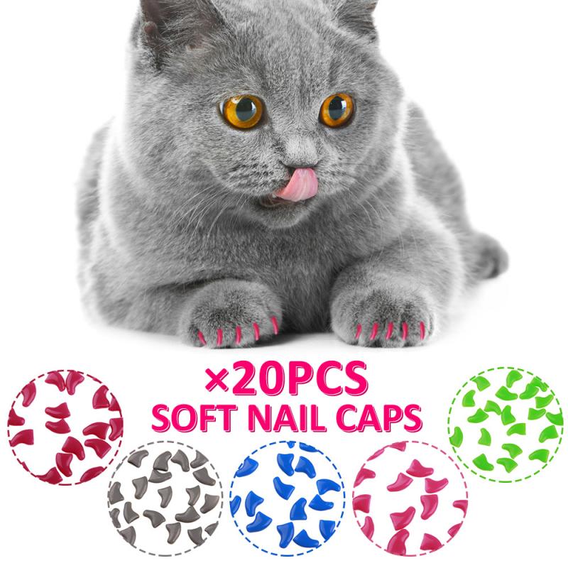 20Pcs Soft Cat Nail Caps Pet Paw Claws Voor Kat Nail Grooming Protector Cover Met Lijm Lijm Cat Grooming levert