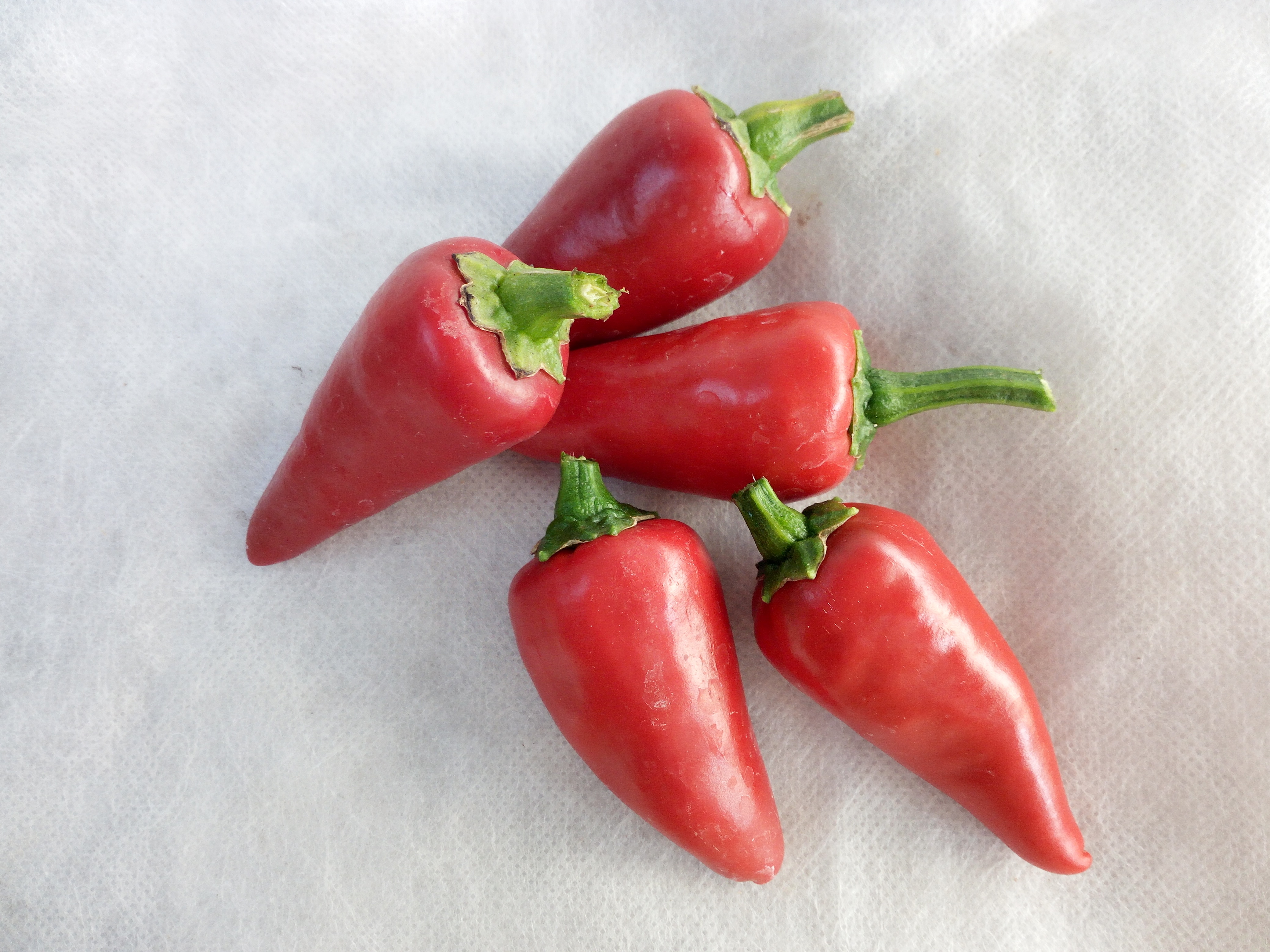 Piment D'espelette