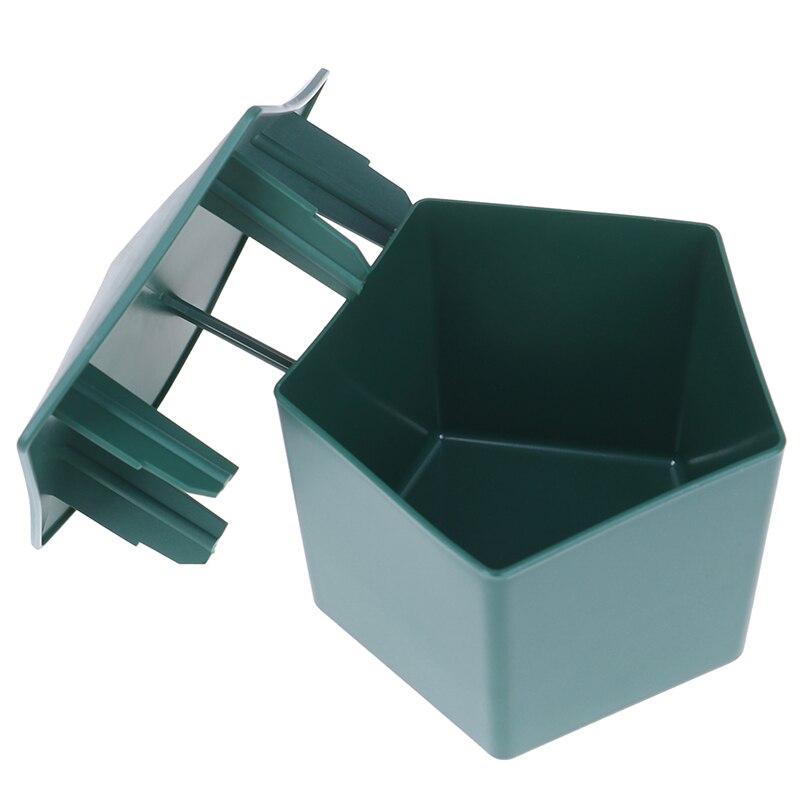 Cage en plastique pour limaces et escargots, piège de maison, piège à limaces, outil de jardin, en forme de sanglier, boîte de protection pour reptiles