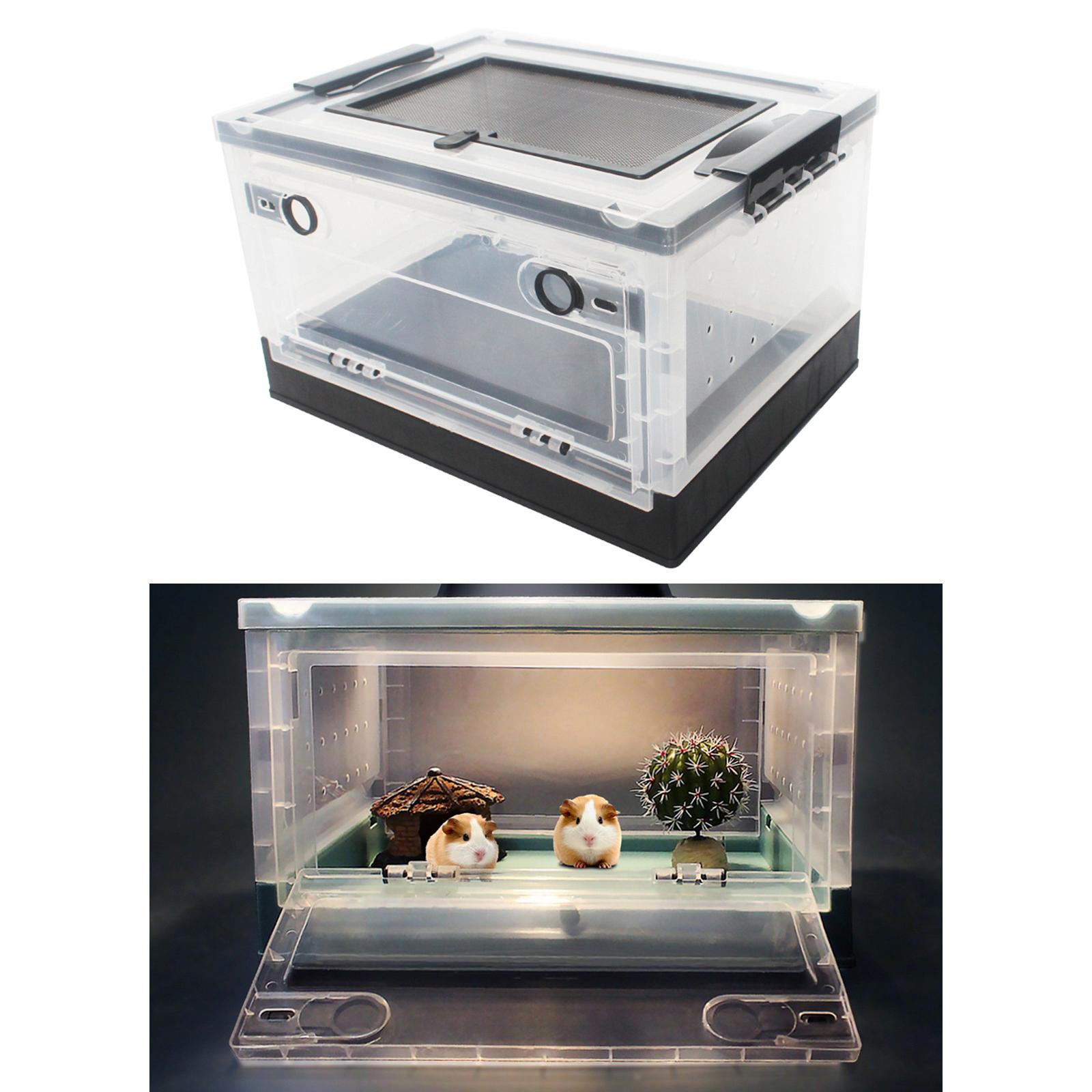 Boîte d&#39;alimentation pliable pour reptiles, pour Hamster, animaux de compagnie, Terrarium, réservoir de Transport pour souris, serpent, lézard, petits animaux, Rat: Black