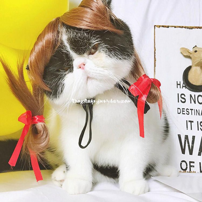 Perruque pour chat Blond Blond | Perruque pour animaux de compagnie, perruque de chat amusant, MPK Store