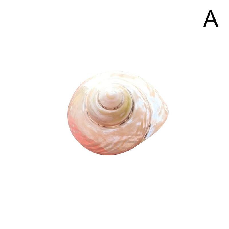 Caracol King Kong pulido Natural, decoración de tanque de boda, paisaje marino, piezas de pescado, especímenes artesanales V6C4, 7-8cm: Default Title