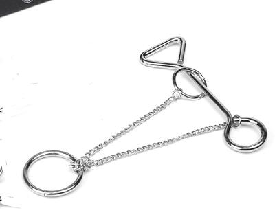 Iq Touw Metalen Houten Puzzel Logic Brain Teaser String Puzzels Spel Voor Volwassenen Kids: Model 14