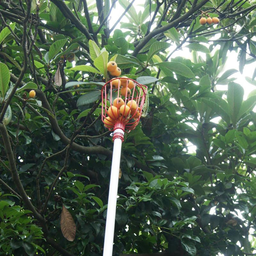 Fruktplockare i aluminium djup korg bekväm trädgårdsodling fruktplockare trädgårdsarbete persikeplockverktyg fruktplockare