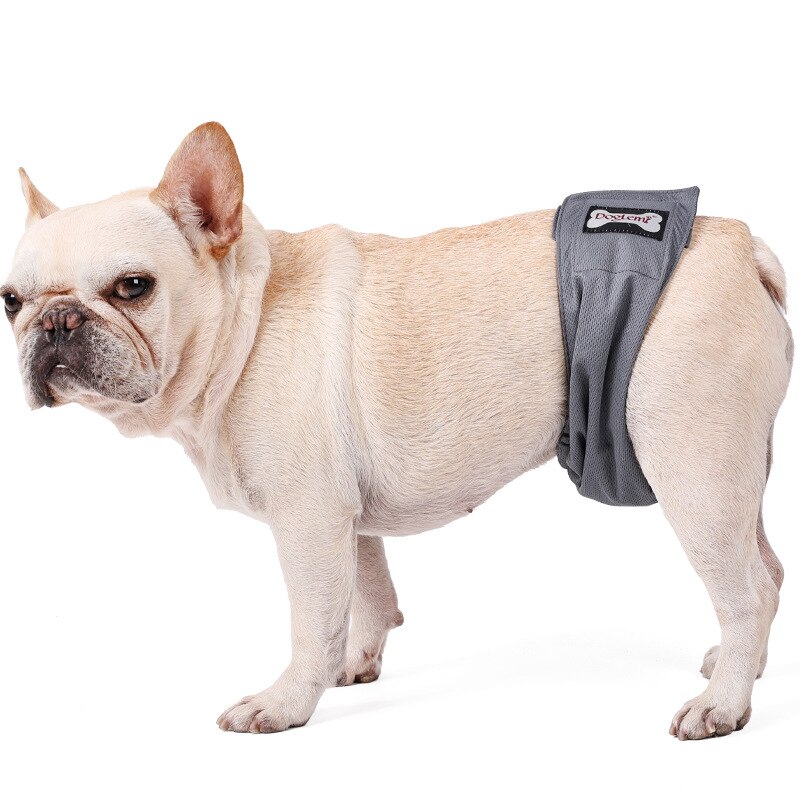 Male Dog Diapers Graphene Pet Physiological Pants Breathable Anti-Leakage Hygiene Briefs For Male Dogs Antibacterial Dog Shorts