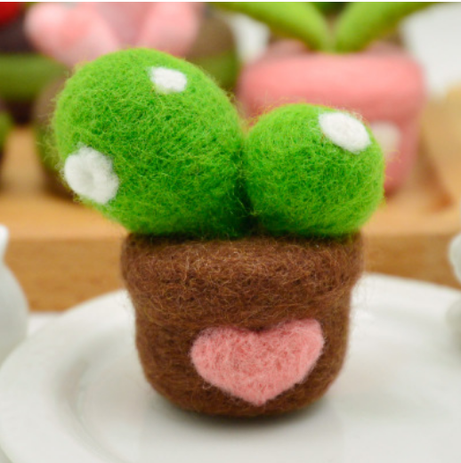 Succulent plants wool needlepoint kit wool felt needle felting pendant craft needlecraft DIY handmade