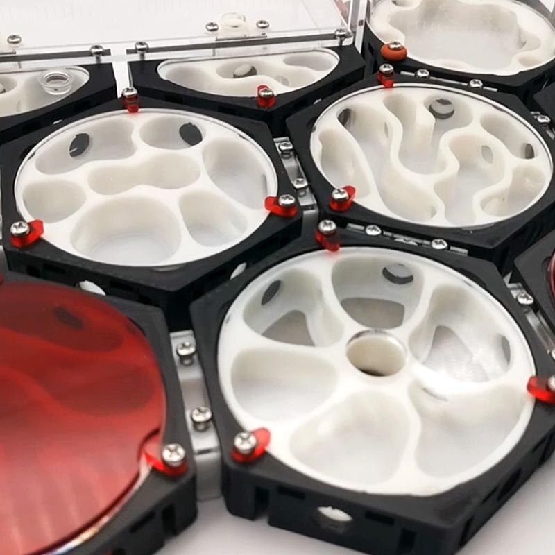 Ant Space Station 3D Ant Nest Queen Nest Acrylic Ant Nest Idea Reptile Terrarium Ants Farm House