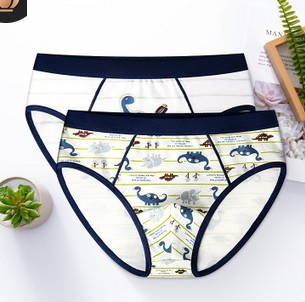 Goocheer 2Pcs/Set Kids Boys Underwear Dinosaur Printing Boxer Cotton Children's Underwear Boys Boxer Briefs: 2 / 9
