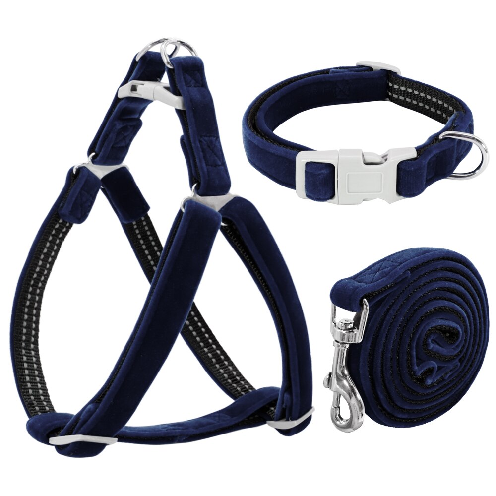 Dog collars hotsell harnesses and leashes