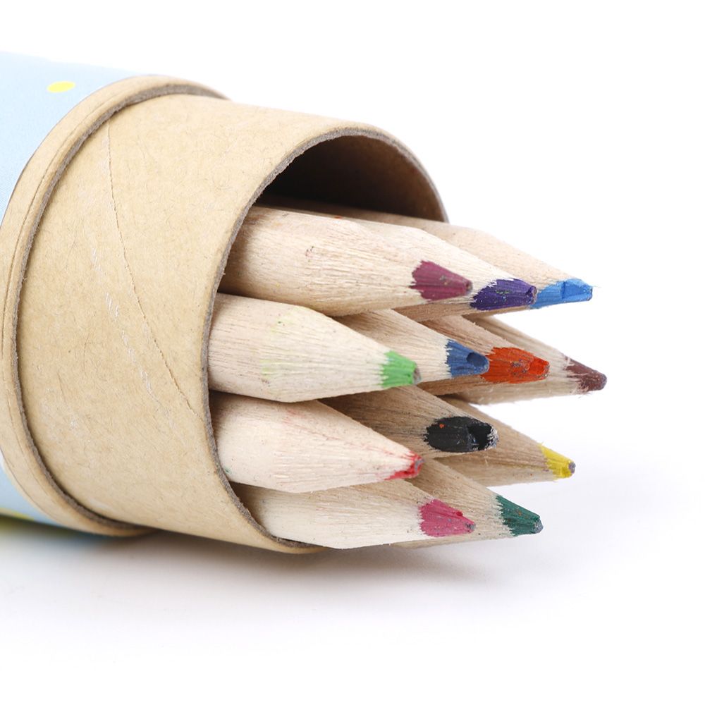 12 Colors Set Artist Fine Drawing Painting Sketching Writing Drawing Pencil Box Cases MIni Stationary